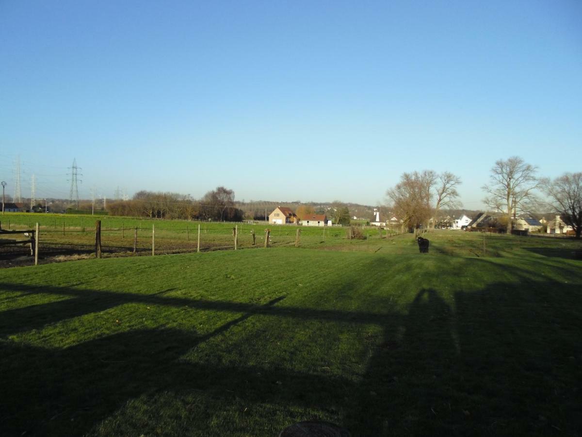 B&B Bodegem Dilbeek Eksteriør bilde